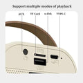 Shoptzy Karaoke Microphone with Speaker & Voice Effects 9